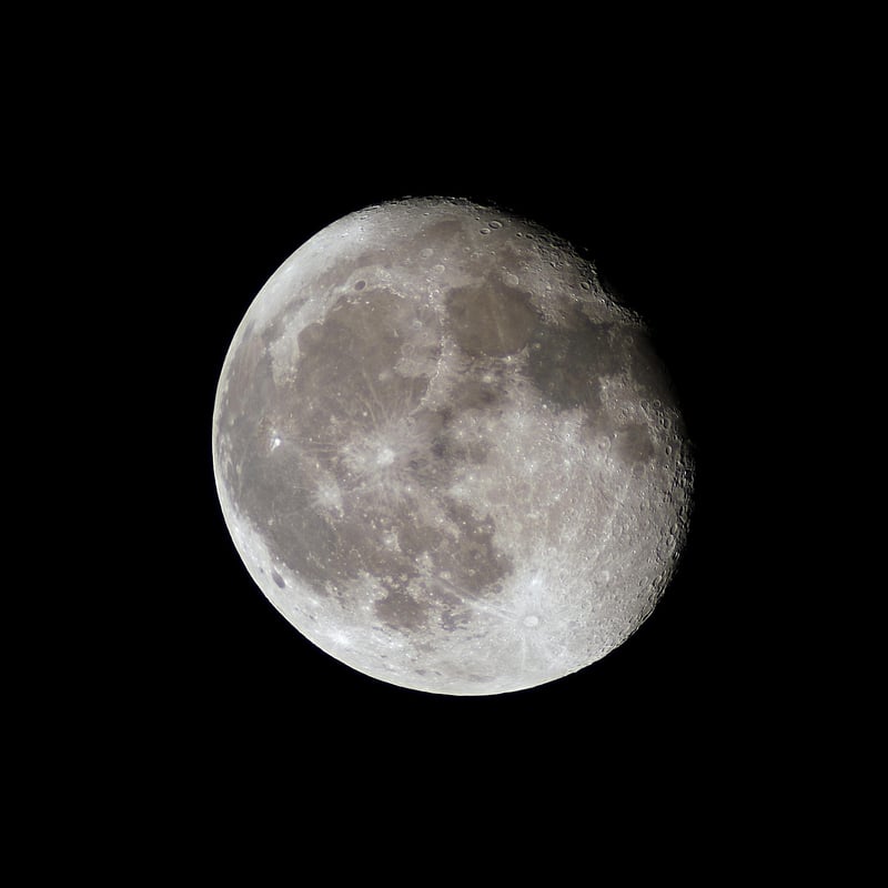 Lunar Love